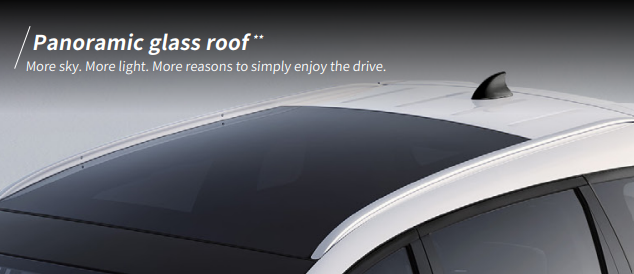 Panoramic glass roof BYD M6 DM